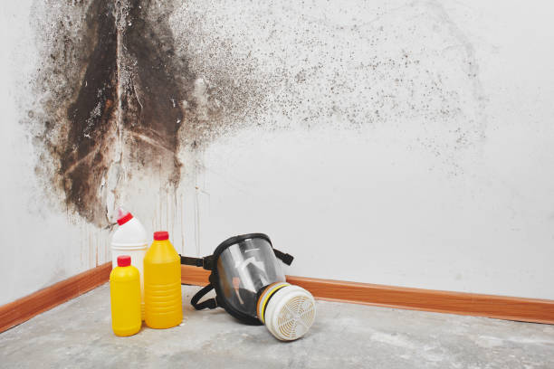 Best Crawl Space Mold Removal  in Untain View, MO