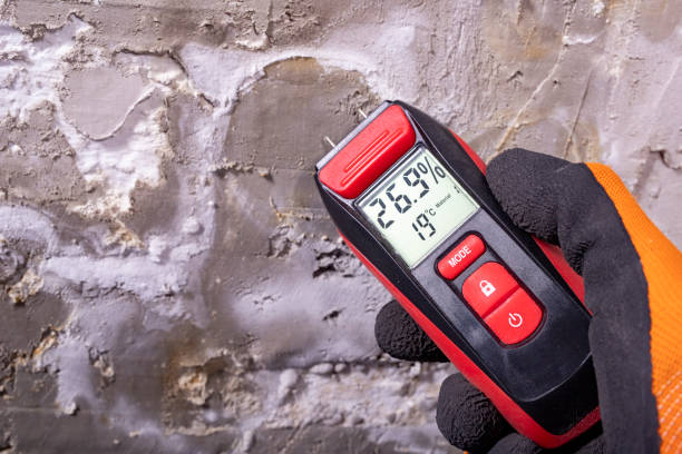 Reliable Mountain View, MO Mold Removal Solutions