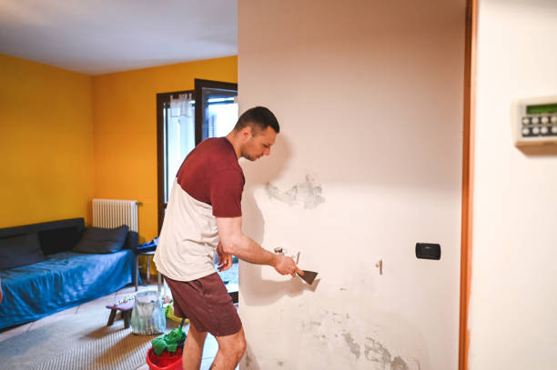 Best Mold Remediation Experts  in Untain View, MO